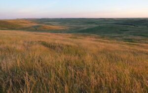 SDSU Extension to host info session for non-farming landowners on Aug. 31