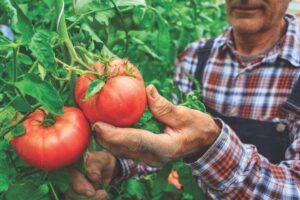South Dakota garden hotline open year-round yes, even in the dead of winter